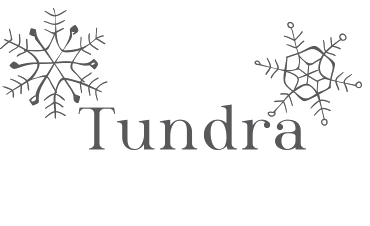 Fibre&Co Tundra Snowdrift